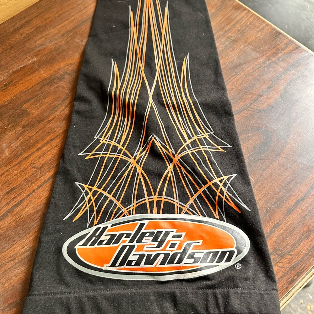 Harley Davidson ponytail holder cap hat